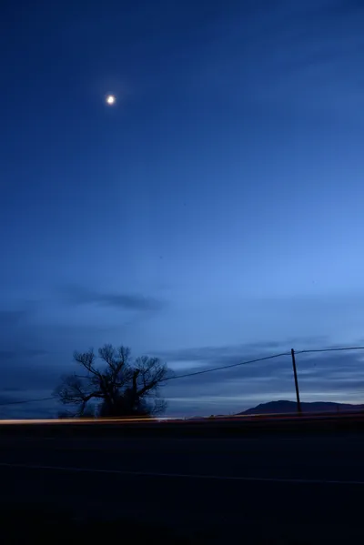 DSC_1136 (Large).JPG